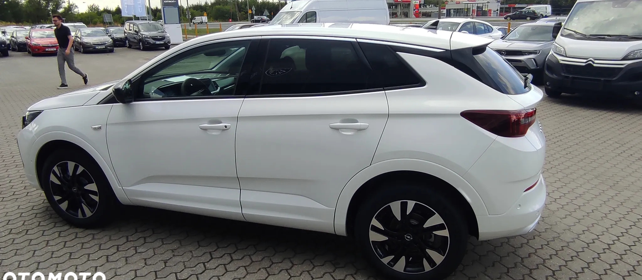 Opel Grandland X cena 139600 przebieg: 3, rok produkcji 2023 z Łobżenica małe 22